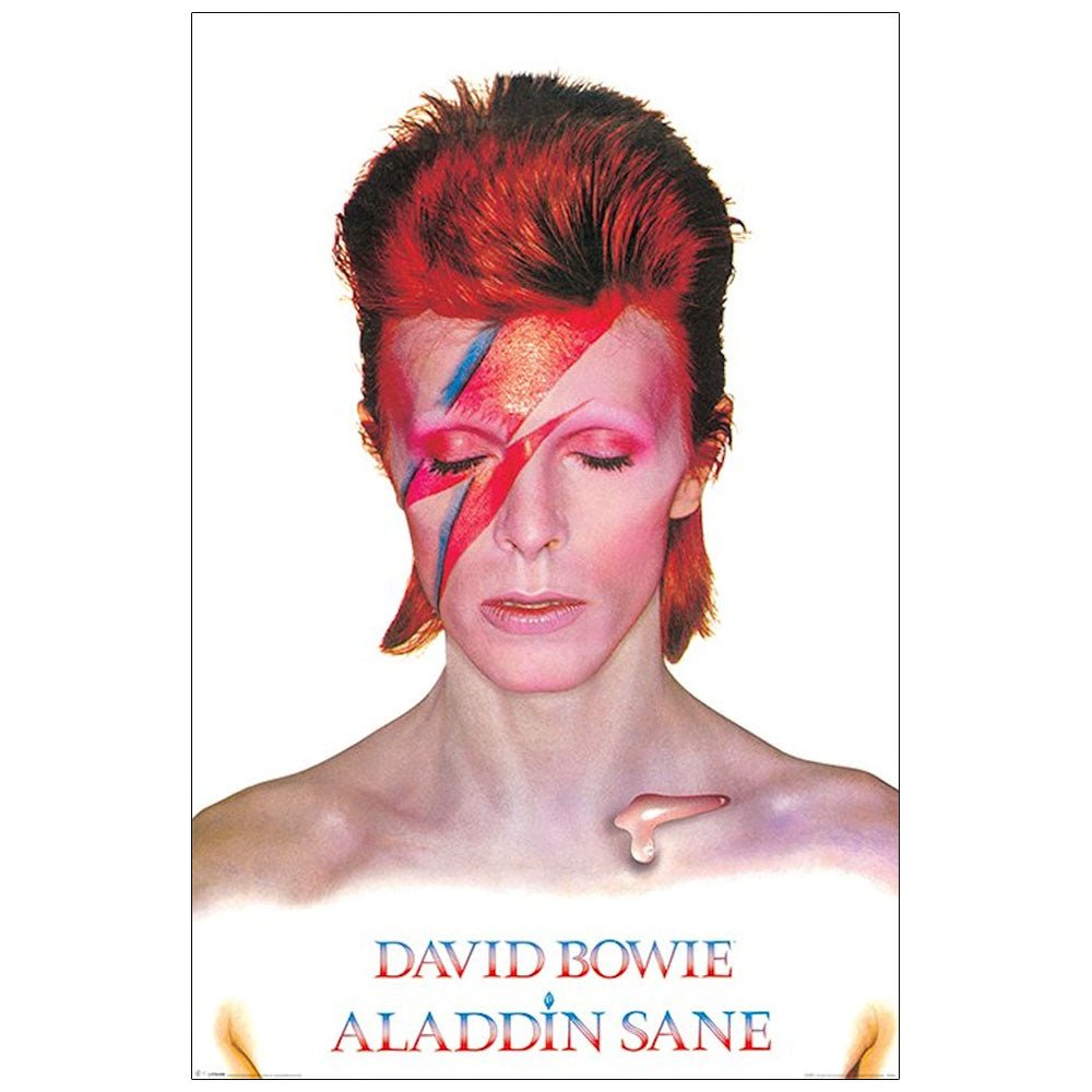 DAVID BOWIE デヴィッドボウイ - ALADDIN SANE / ポスター - PGS